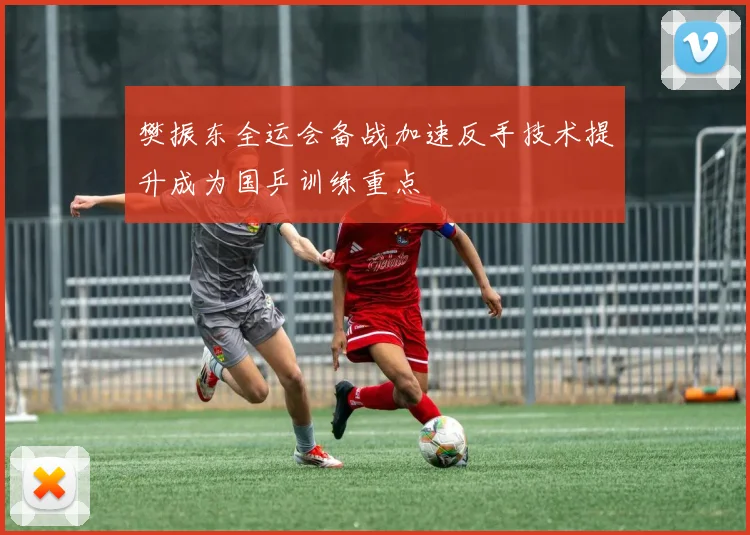 樊振东全运会备战加速反手技术提升成为国乒训练重点
